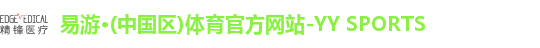 yy易游